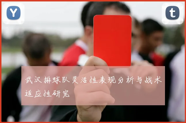 武汉排球队灵活性表现分析与战术适应性研究